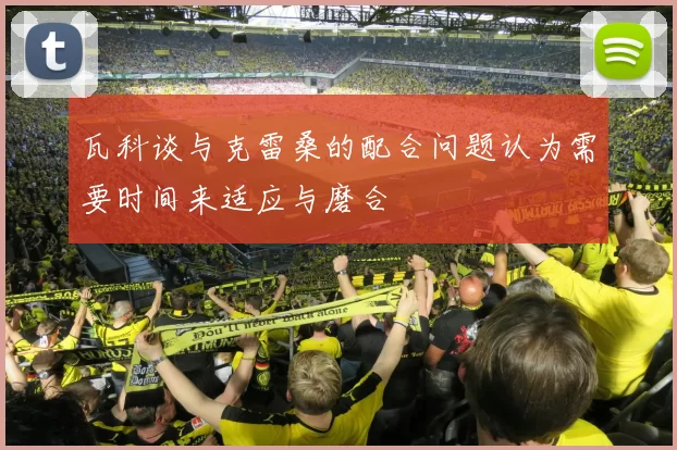 瓦科谈与克雷桑的配合问题认为需要时间来适应与磨合